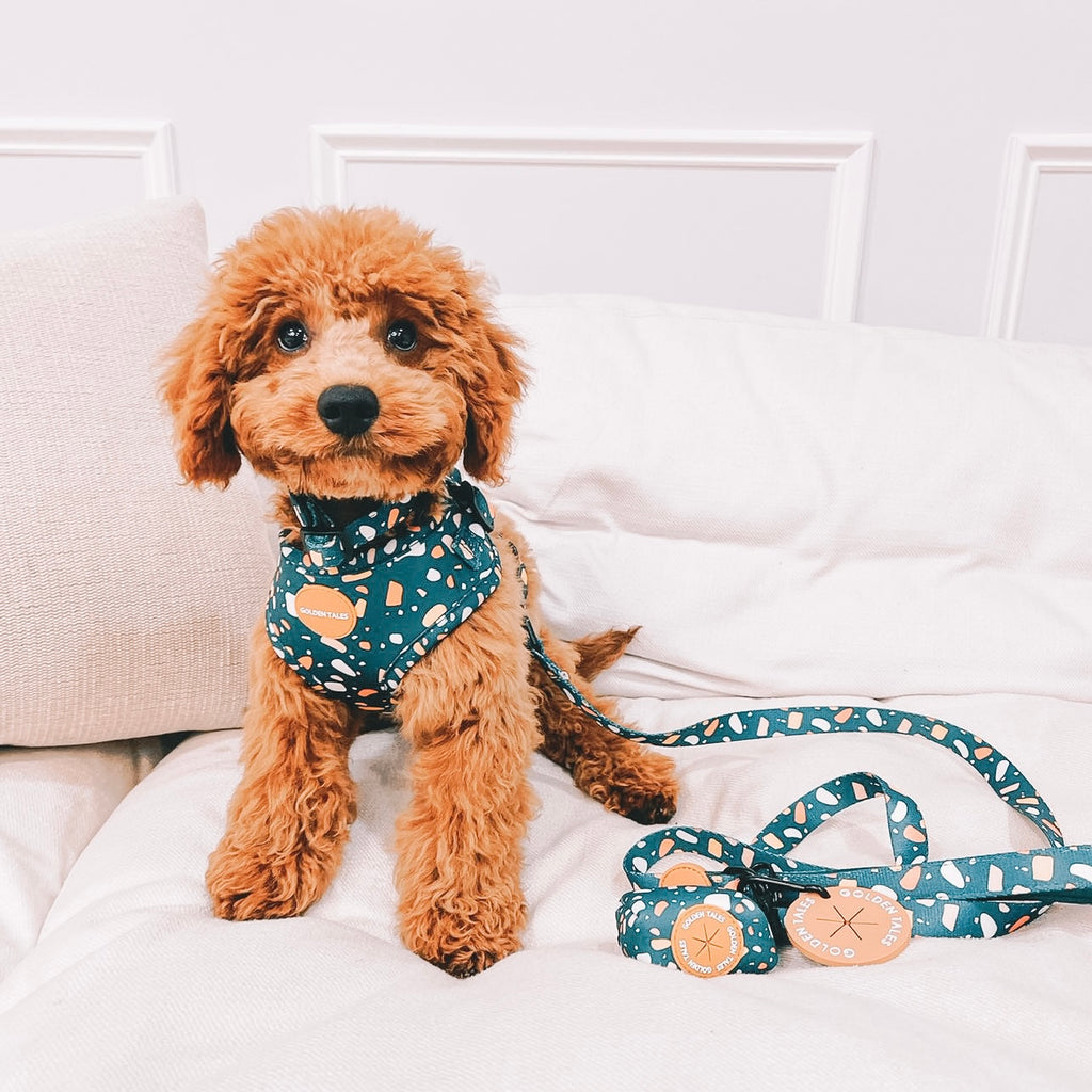 Concrete Jungle Adjustable Harness