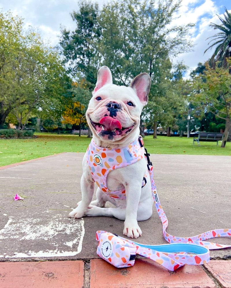 Peachy's Dream Peachy Pebbles Adjustable Harness