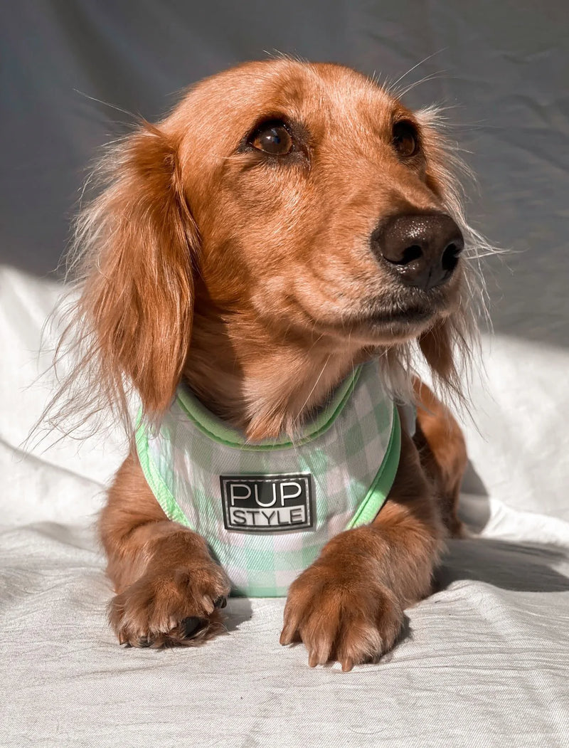 Sweet Apple Harness