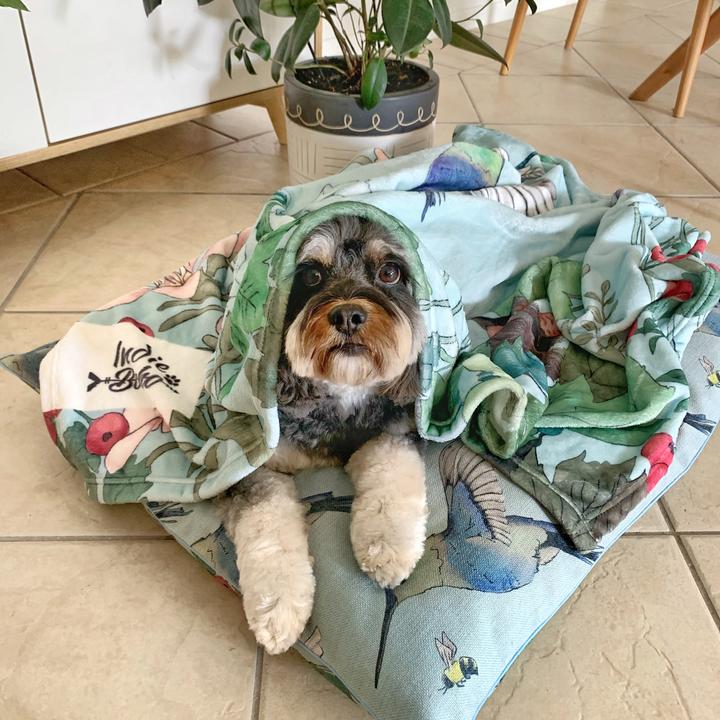 Hummingbird Fields Ultra Soft Pet Blanket