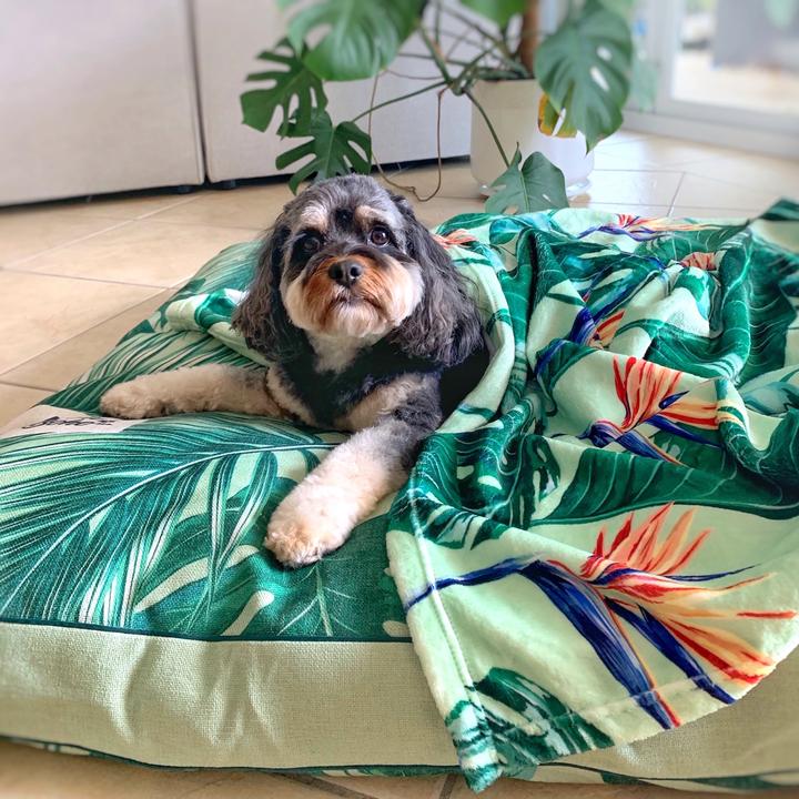 Tropical Bloom Ultra Soft Pet Blanket