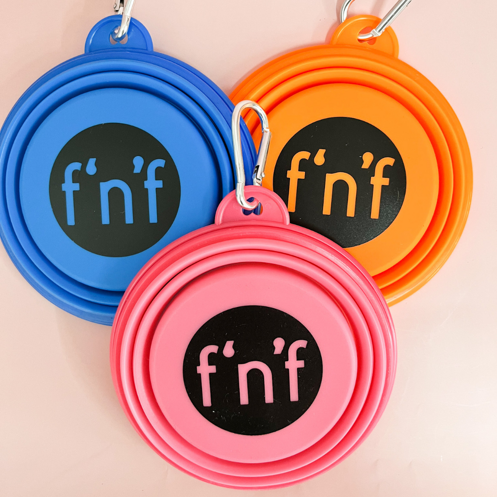 Portable Pop Up Dog Bowls