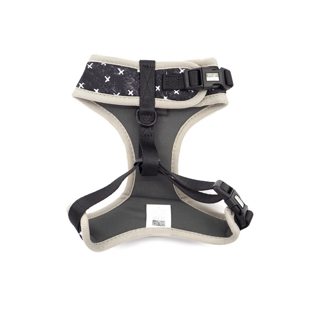 Blessed Harness