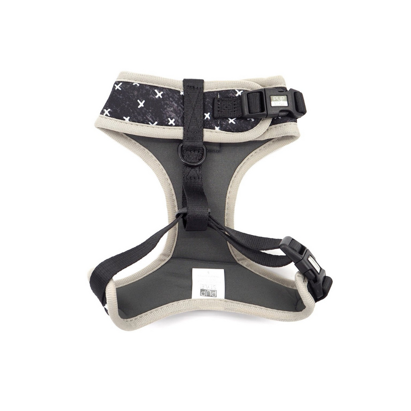 Blessed Harness