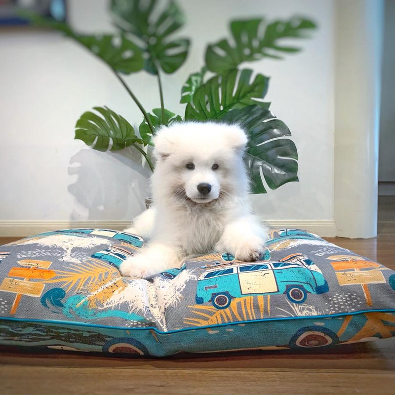 Byron Surf Bed