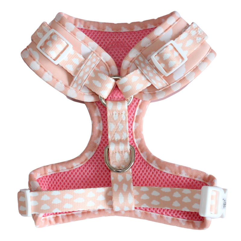 Cloud Nine Adjustable Harness