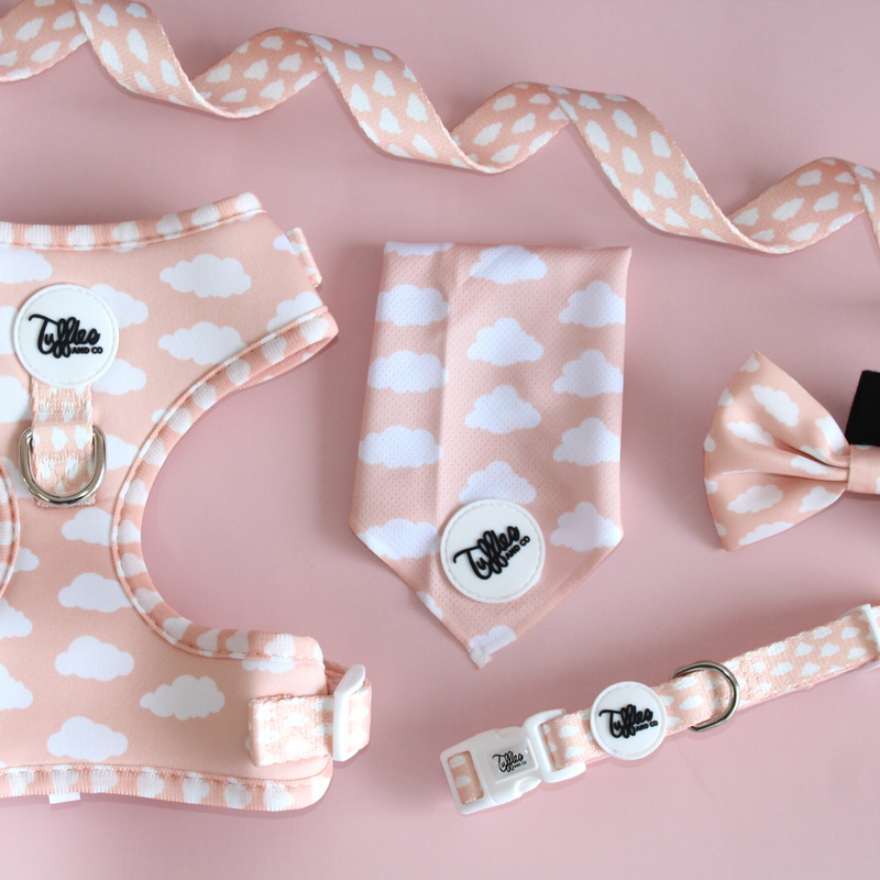 Cloud Nine Adjustable Harness