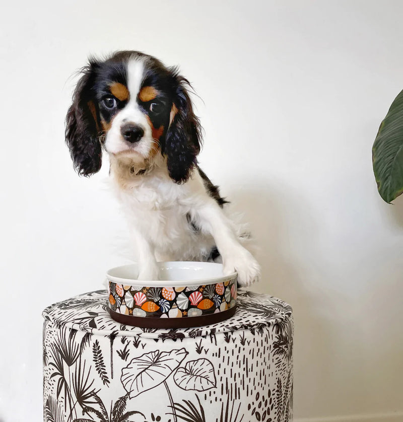 Daydream Shells Ceramic Dog Bowl