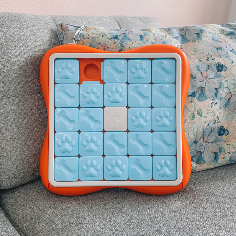 Challenge Slider Toy