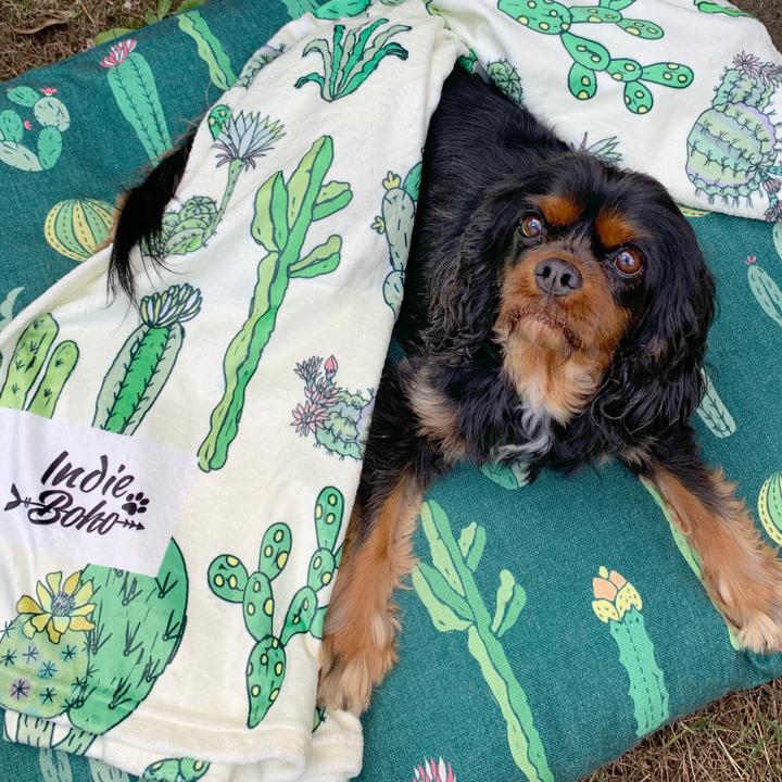 Cactus Fusion Ultra Soft Pet Blanket