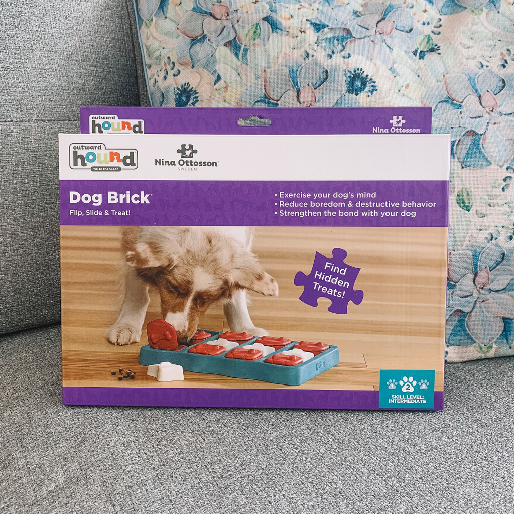 Nina Ottosson Outward Hound Dog Brick Puzzle Flip Slide &Treat