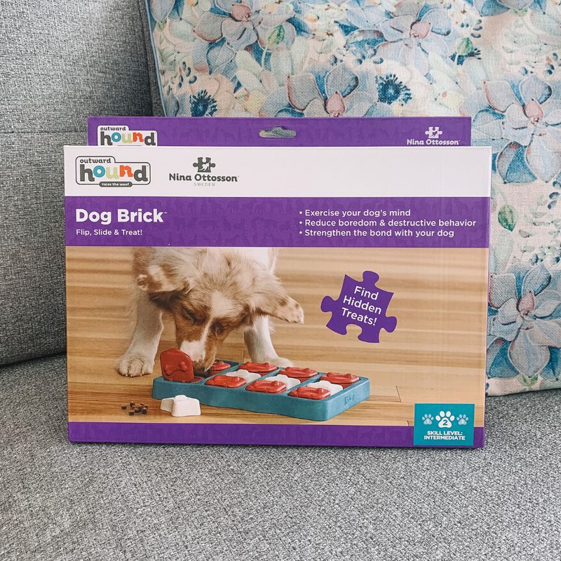 Dog Brick Toy