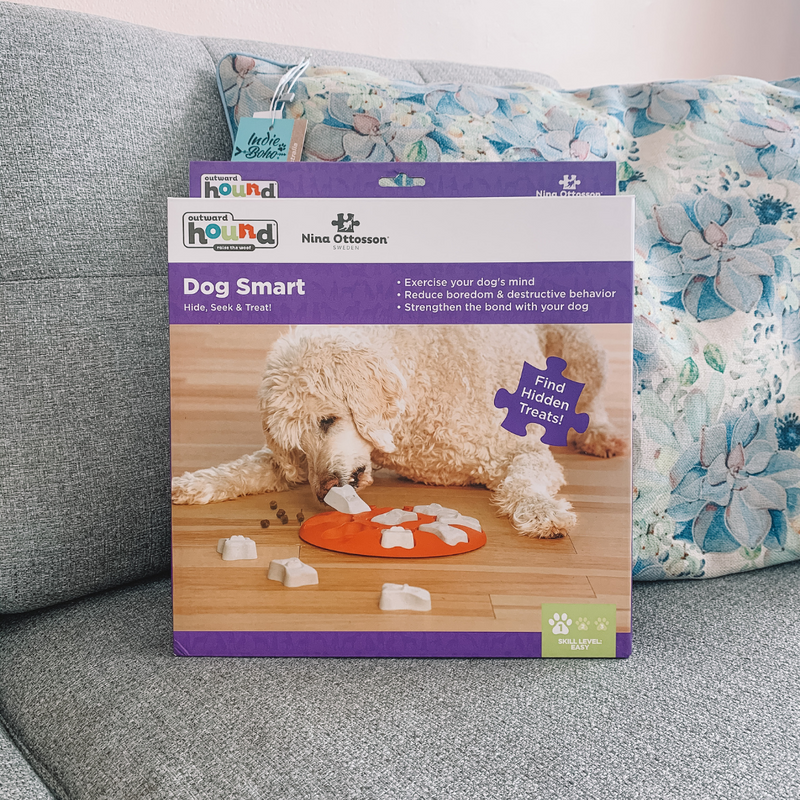 Dog Smart Puzzle Toy