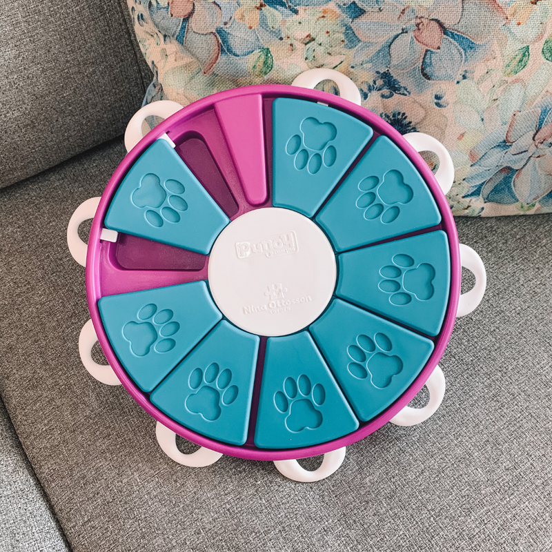 Dog Twister Toy
