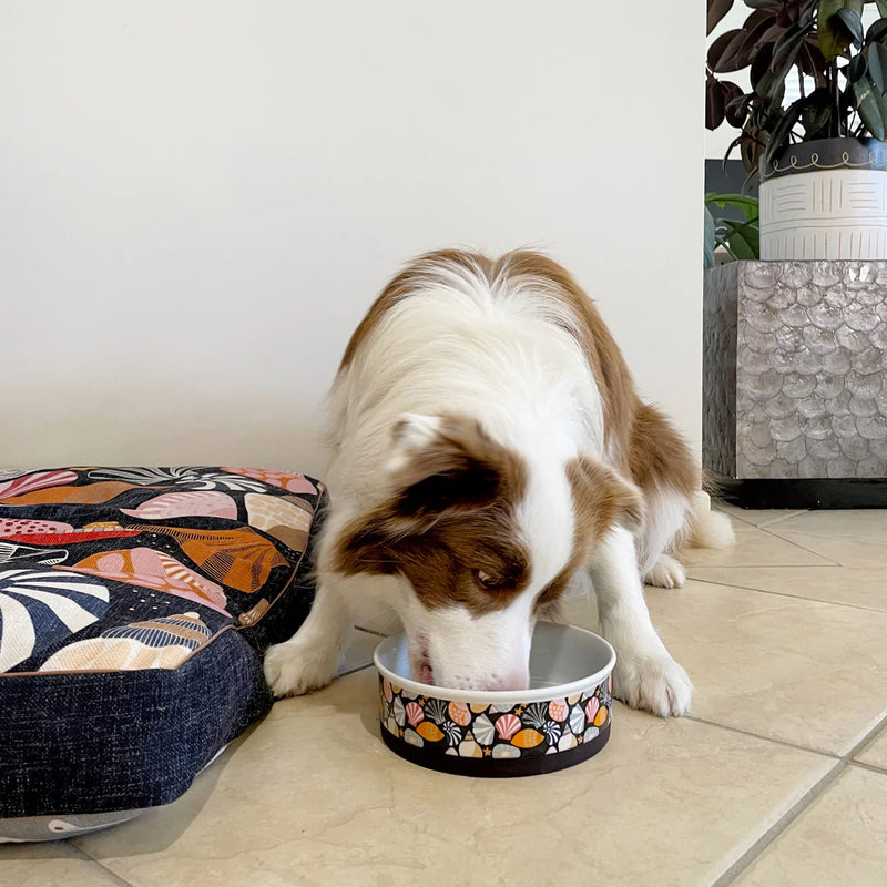 Daydream Shells Ceramic Dog Bowl