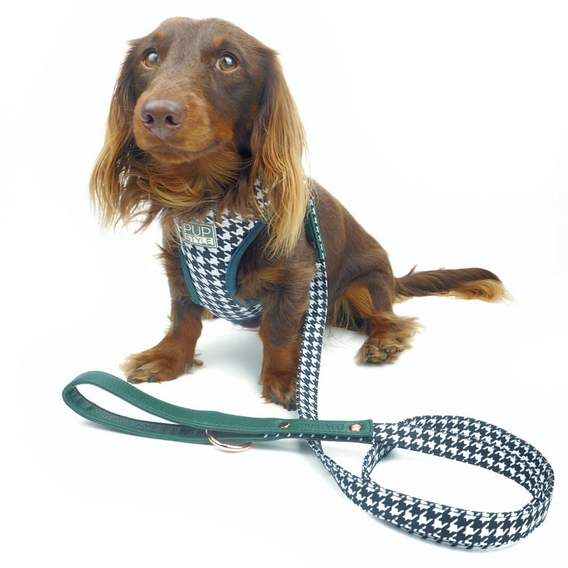 Emerald Envy Harness