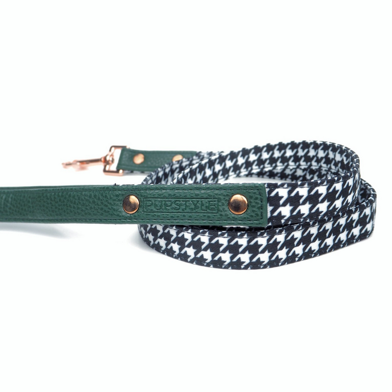 Emerald Envy Dog Lead