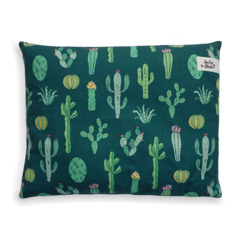 Cactus Garden Bed