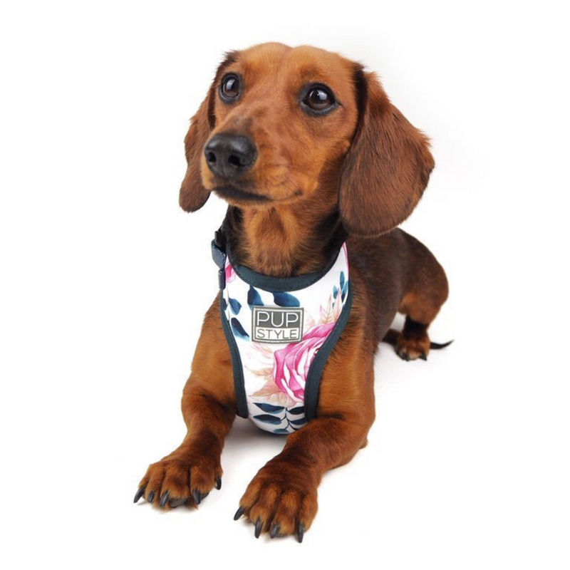Fresh Blooms Harness