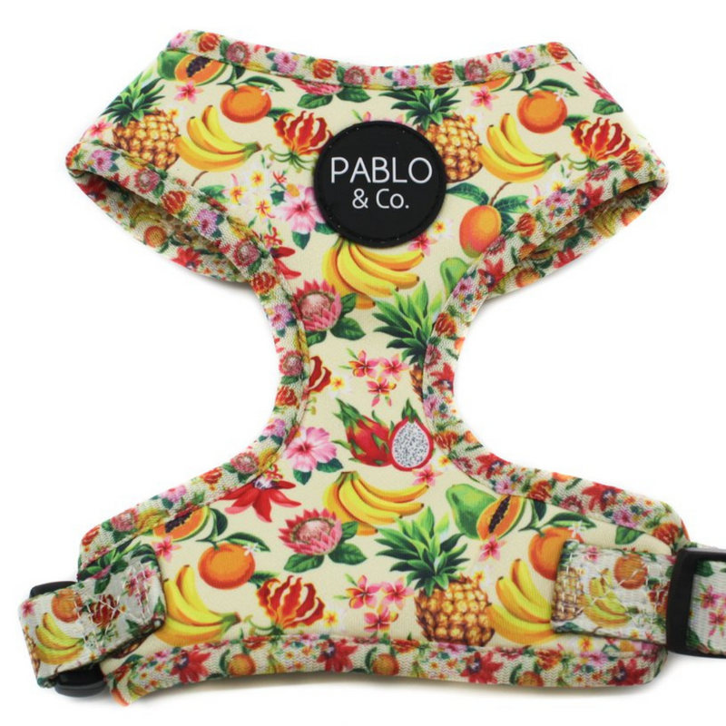 Fruity Adjustable Harness
