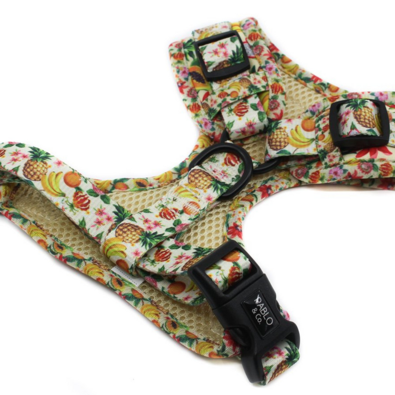 Fruity Adjustable Harness