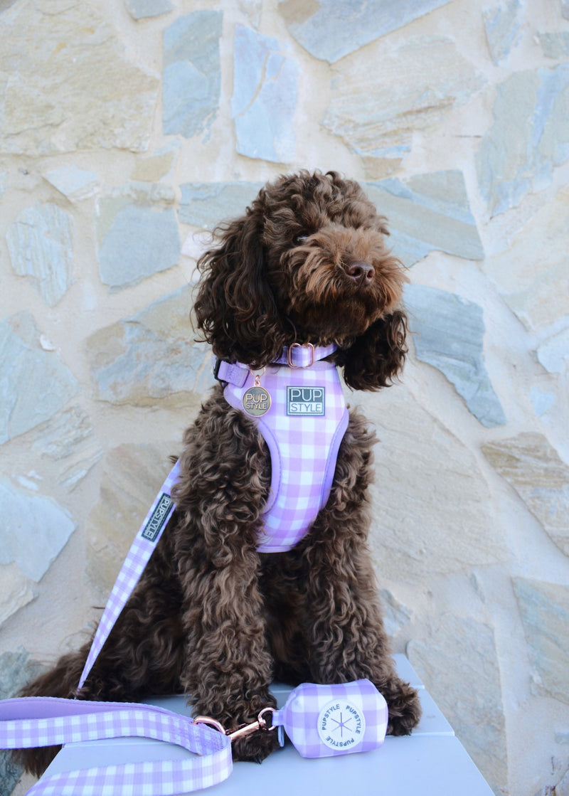 Berry Milkshake Harness