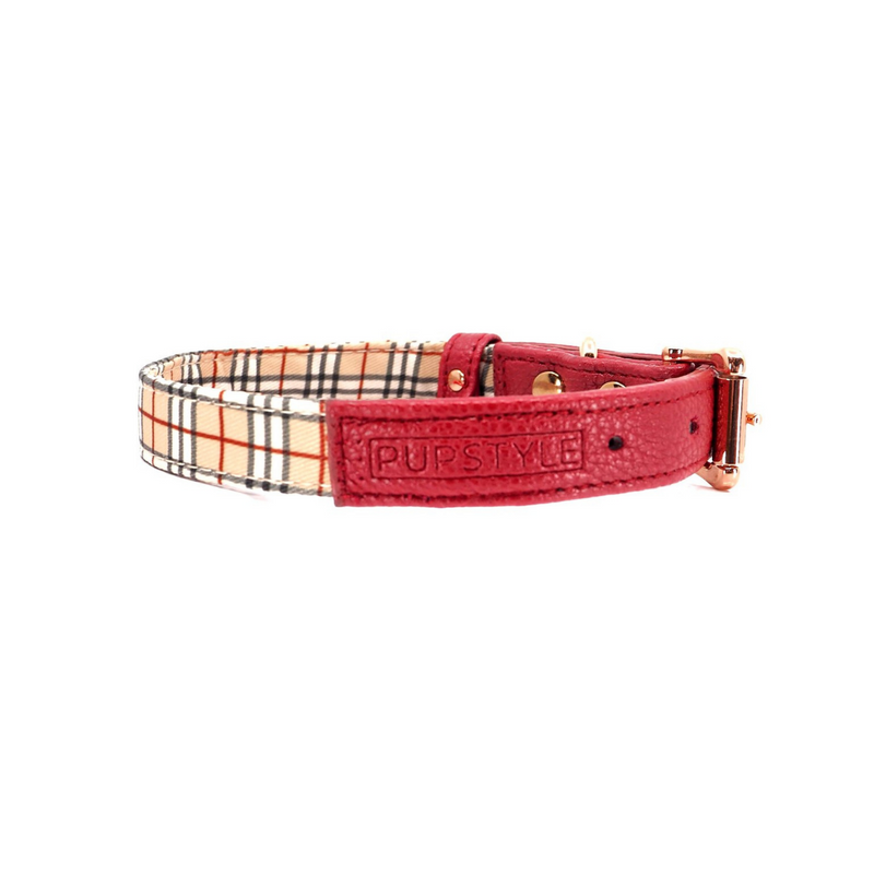 Houndbury City Collar