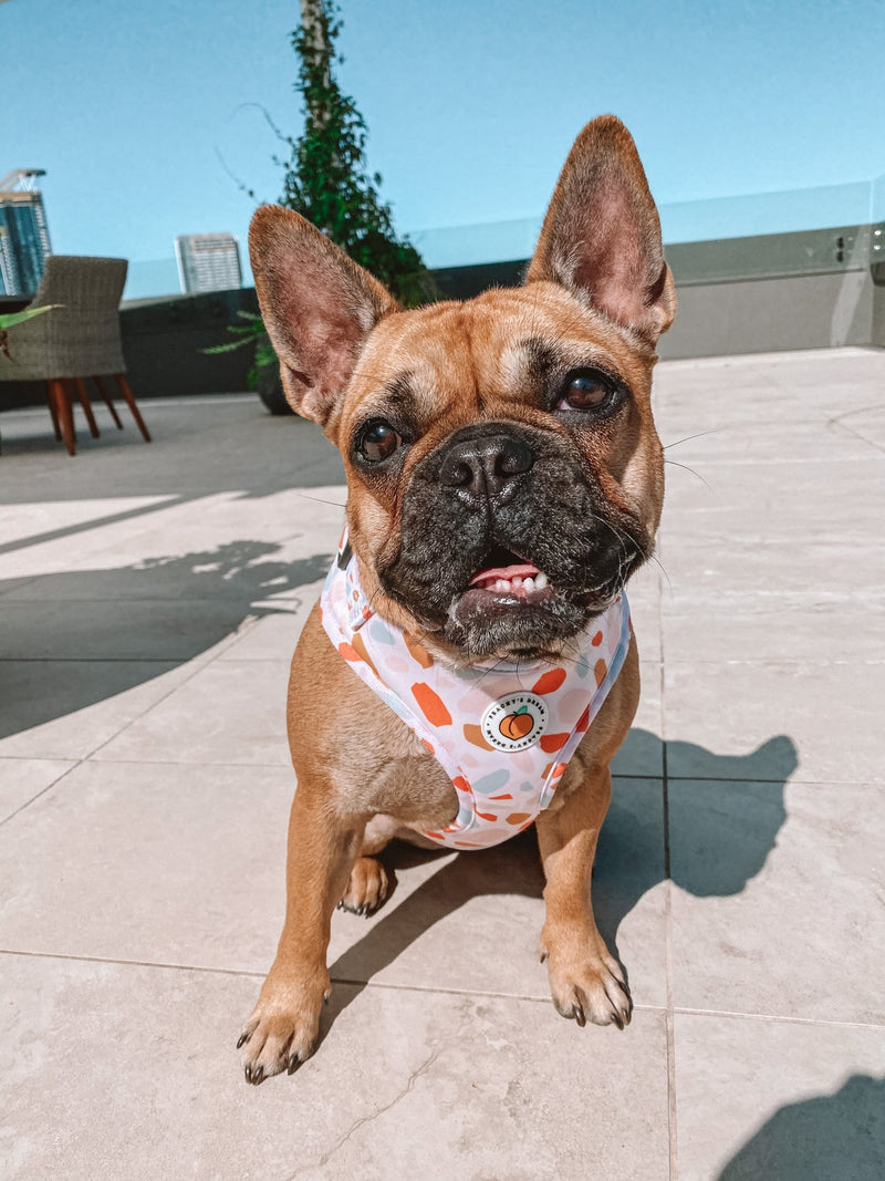 Peachy's Dream Peachy Pebbles Adjustable Harness