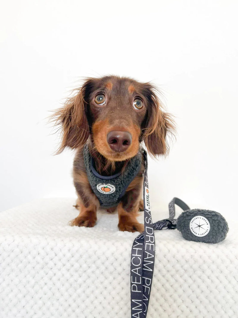 Charcoal Sherpa Adjustable Harness