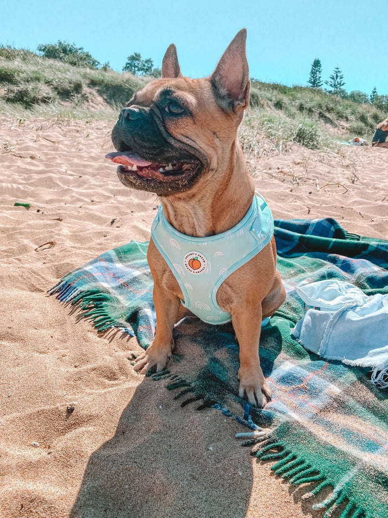 Peachy's Dream Aqua Daze Adjustable Harness