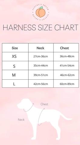 Peachy's Dream Aqua Daze Adjustable Harness