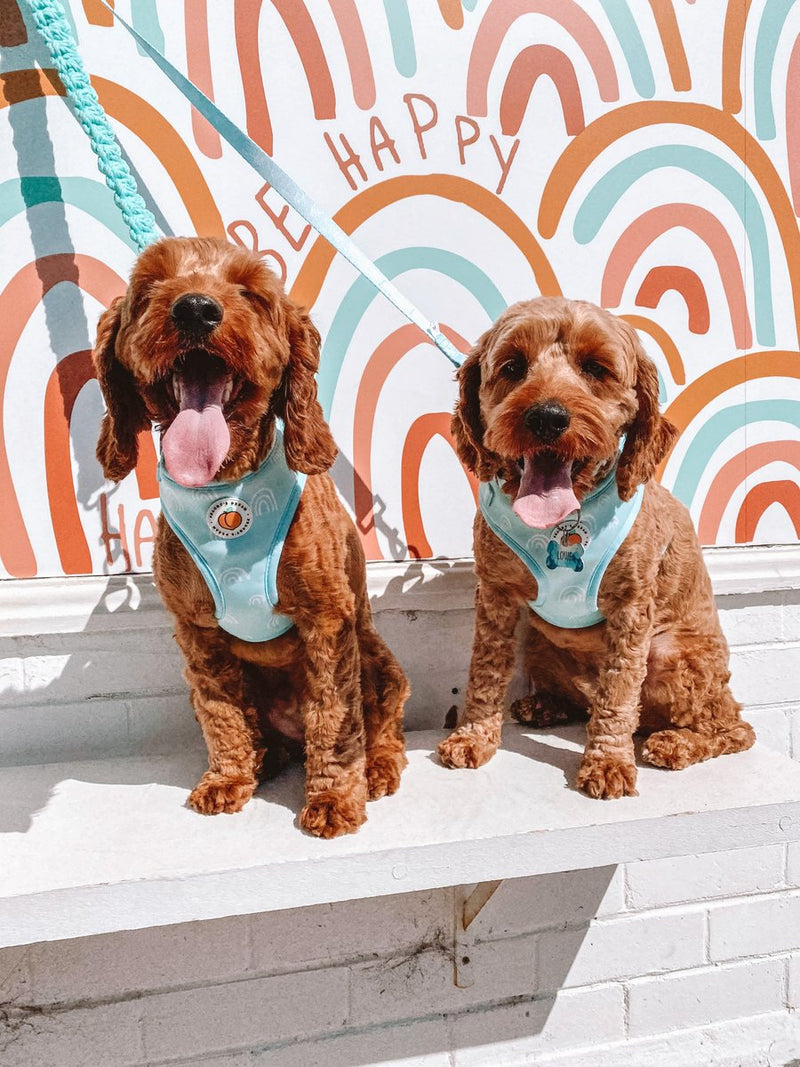 Peachy's Dream Aqua Daze Adjustable Harness