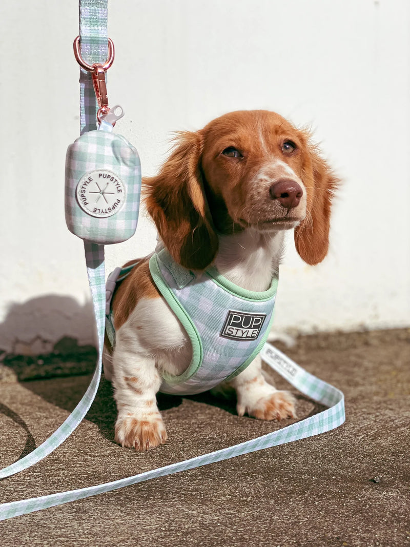 Sweet Apple Poo Bag Holder