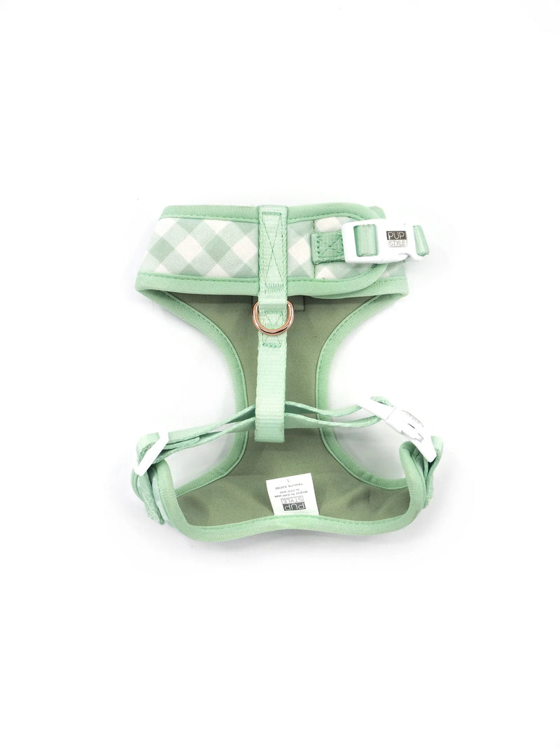 Sweet Apple Harness