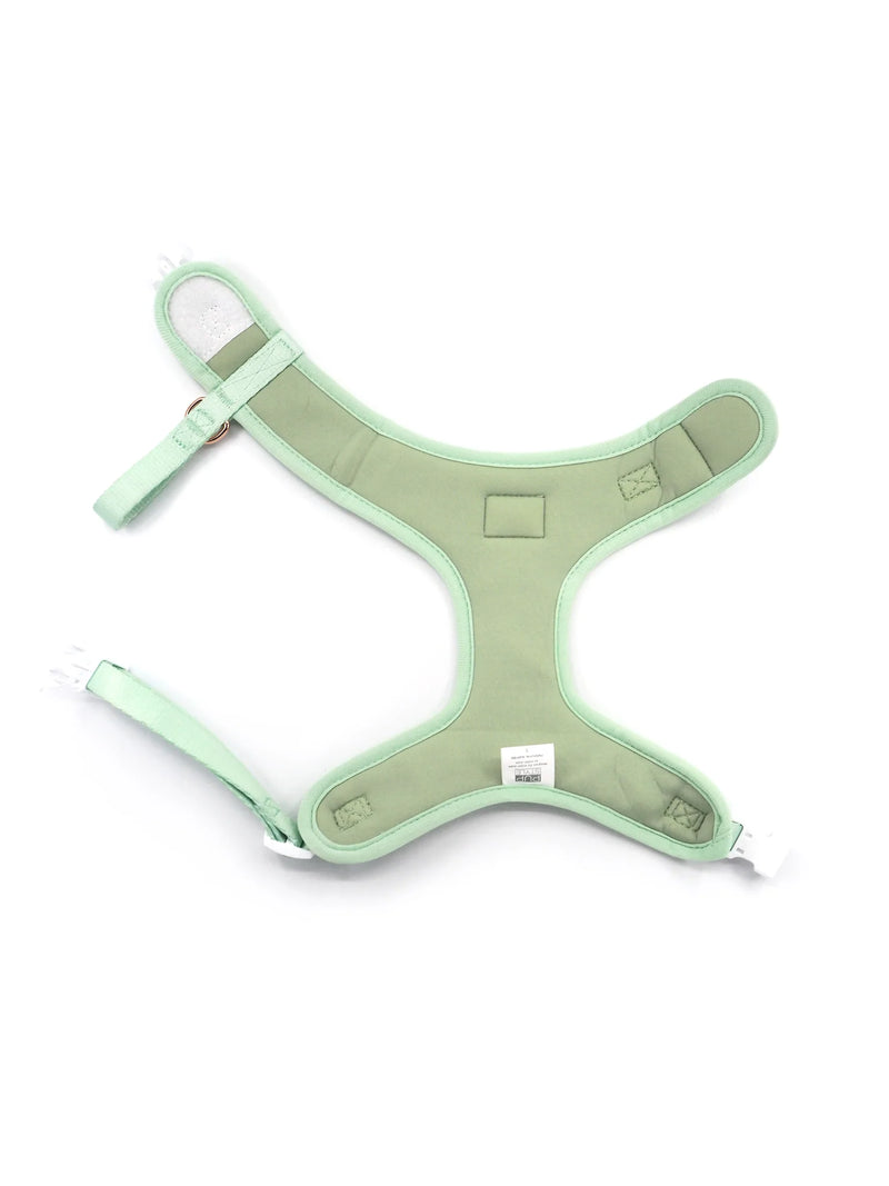 Sweet Apple Harness