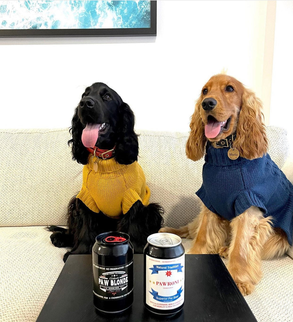 Pet Beer