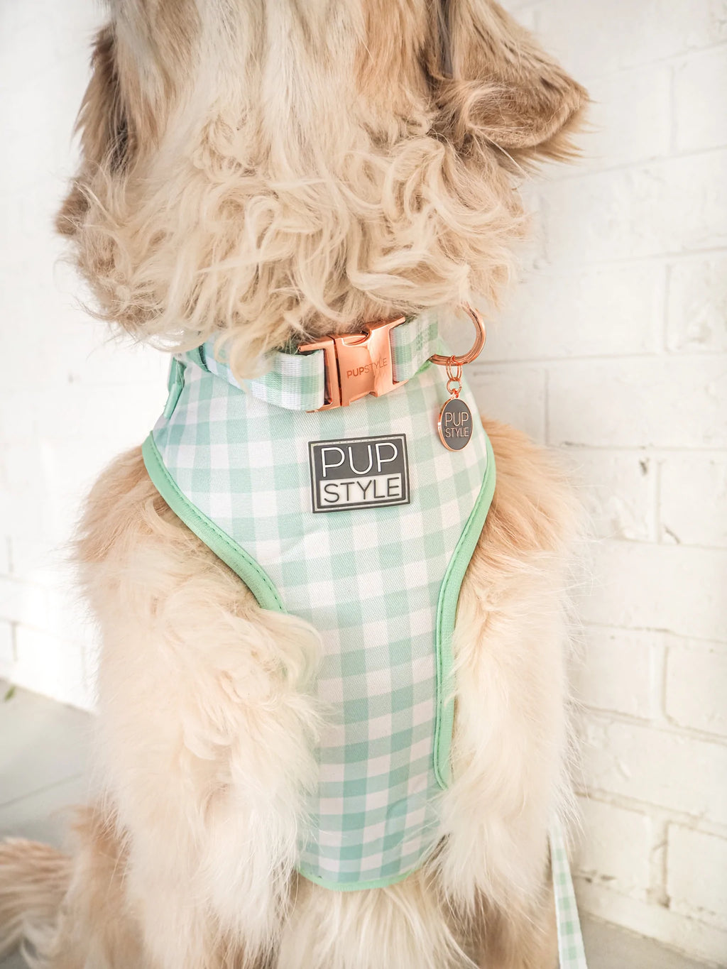 Sweet Apple Collar