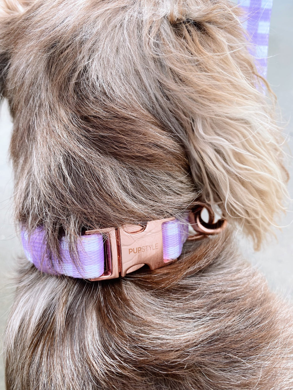 Berry Milkshake Collar