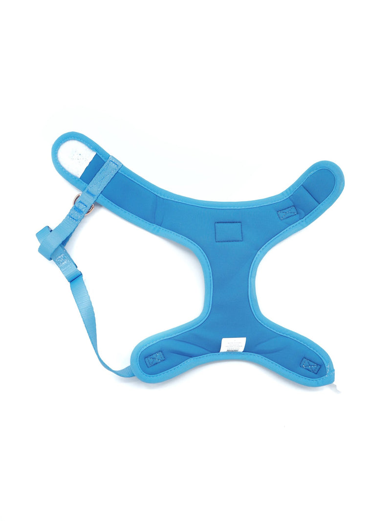Blueberry Muffin Harness