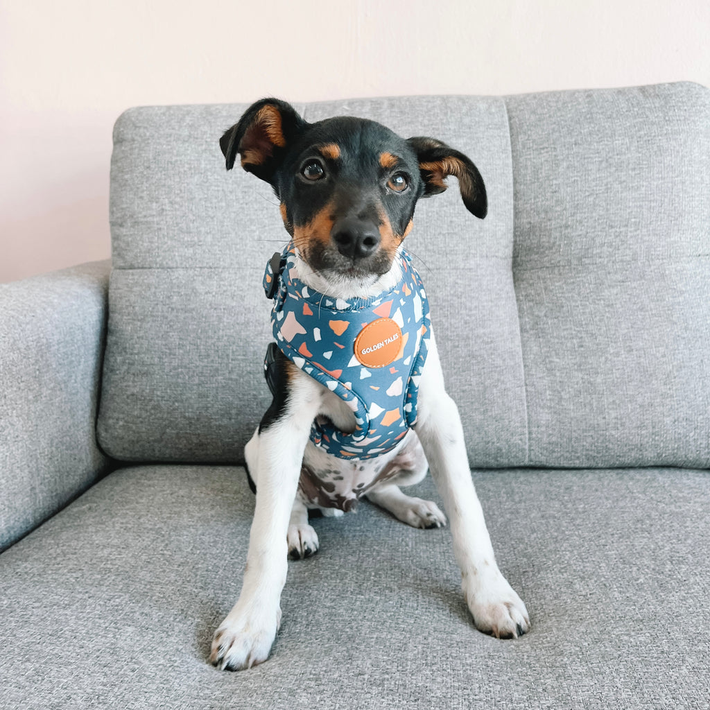 Golden Tales Midnight Mosaic Adjustable Harness