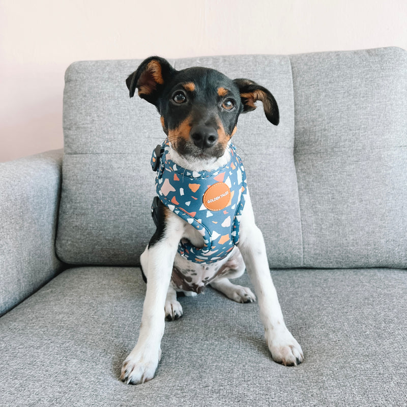 Golden Tales Midnight Mosaic Adjustable Harness