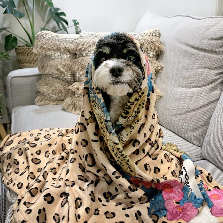 Leopard Luxe Ultra Soft Pet Blanket