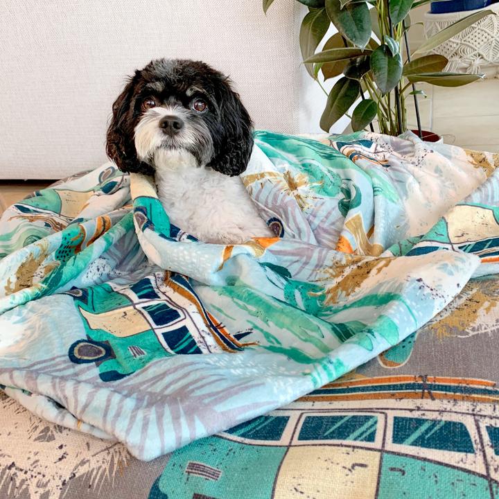 Byron Surf Ultra Soft Pet Blanket