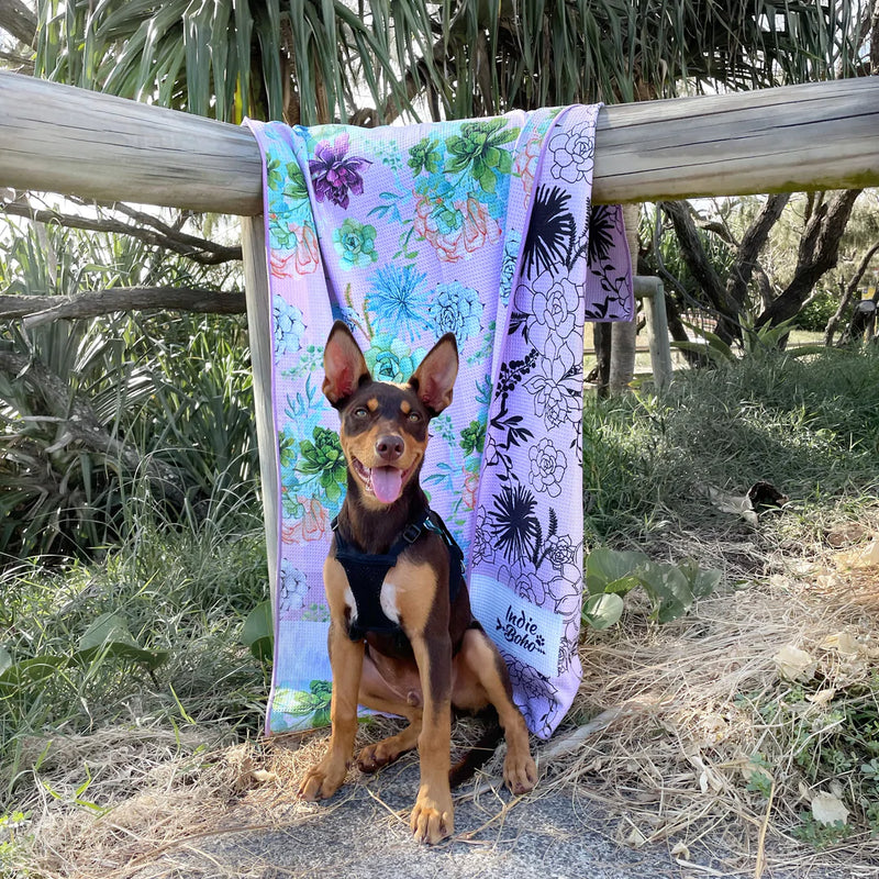 Succulent Medley Travel Towel