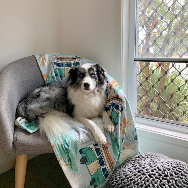 Byron Surf Ultra Soft Pet Blanket