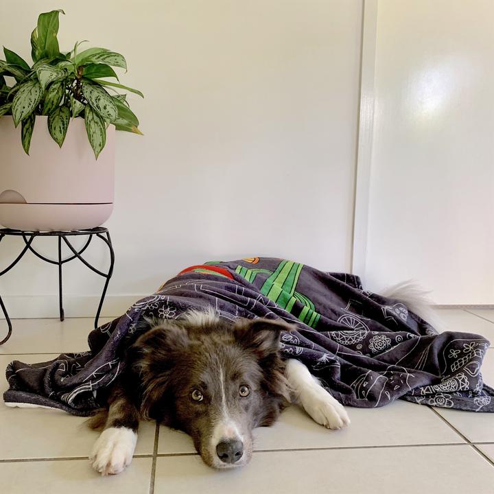 Mexican Skulls Ultra Soft Pet Blanket