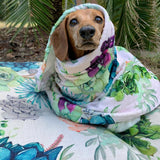 Succulent Medley Ultra Soft Pet Blanket