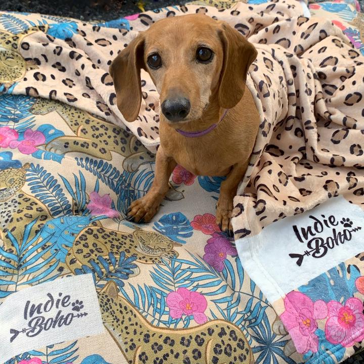 Leopard Luxe Ultra Soft Pet Blanket