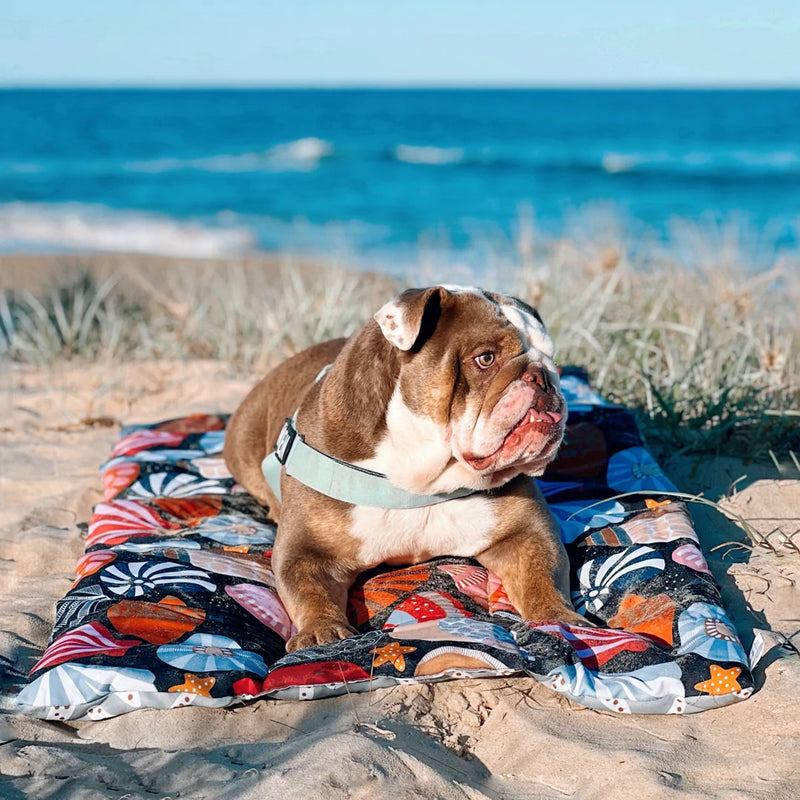 Daydream Shells Travel Mat