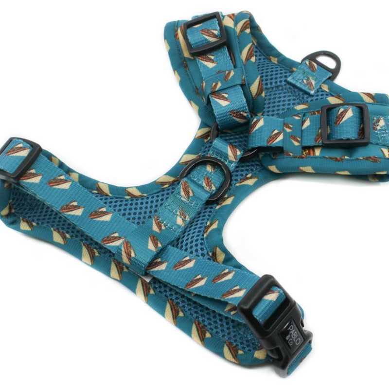 Sausage Sizzle Adjustable Harness